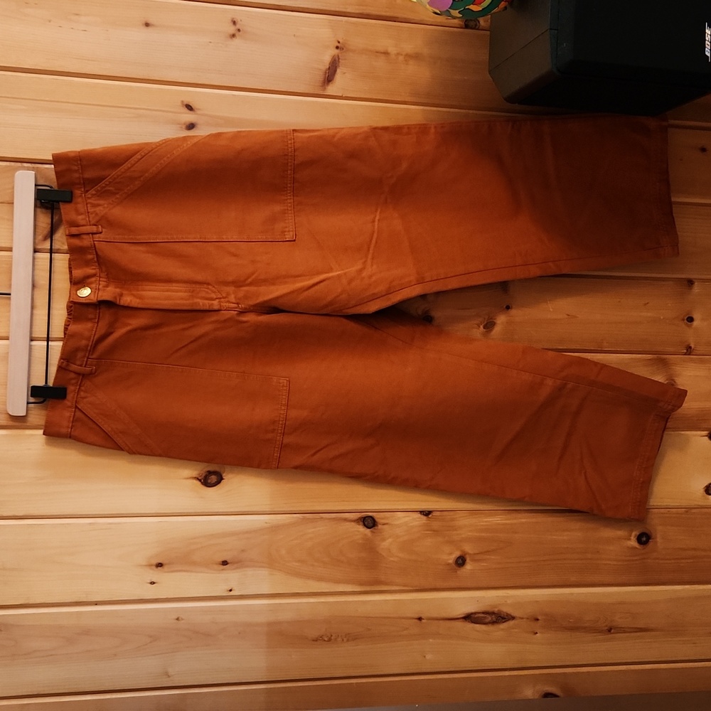 Big Bud Press sz L Petite Organic Cotton Work Pants in Burnt Terracotta